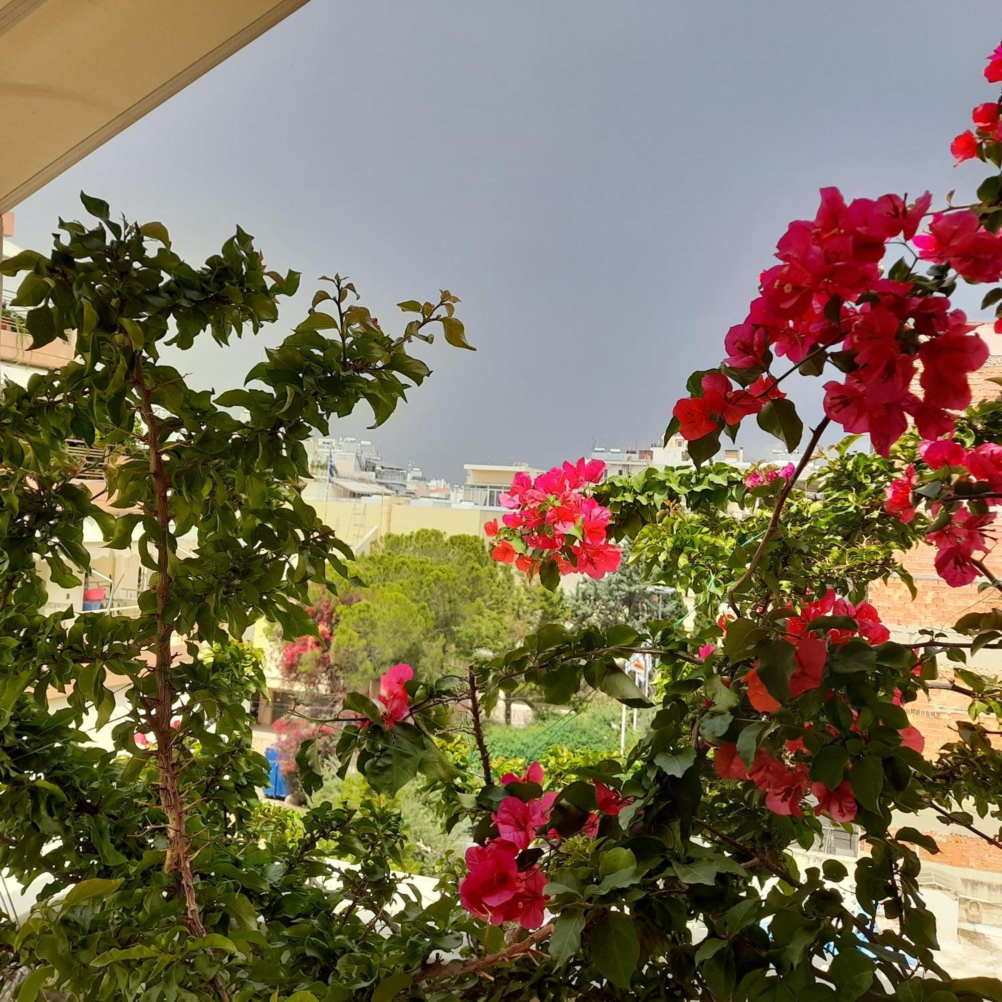 Athens Central Apartment 2 Mins To Metro المظهر الخارجي الصورة